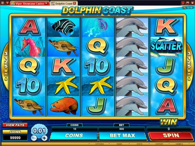 Dolphin Coast Video Slot Game