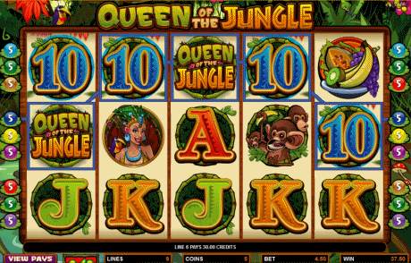 Queen of the Jungle Video Slot