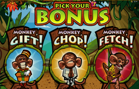 Queen of the Jungle Video Slot